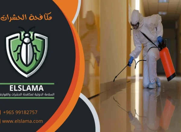 أفضل شركة مكافحة حشرات بالكويت أفضل شركة مكافحة حشرات بالكويت شركة رش حشرات الكويت شركة مكافحة الحشرات الكويت شركة مبيدات حشرية الكويت افضل شركه رش حشرات