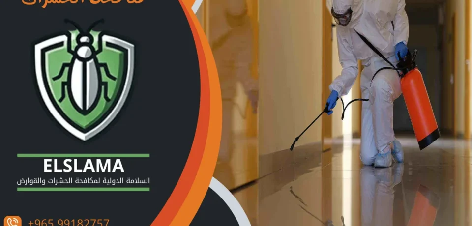 أفضل شركة مكافحة حشرات بالكويت شركة رش حشرات الكويت شركة مكافحة الحشرات الكويت شركة مبيدات حشرية الكويت افضل شركه رش حشرات أفضل شركة مكافحة حشرات بالكويت أفضل شركة مكافحة حشرات بالكويت شركة رش حشرات الكويت شركة مكافحة الحشرات الكويت شركة مبيدات حشرية الكويت افضل شركه رش حشرات