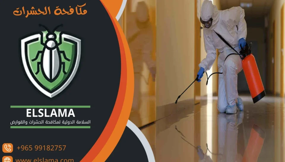 أفضل شركة مكافحة حشرات بالكويت أفضل شركة مكافحة حشرات بالكويت شركة رش حشرات الكويت شركة مكافحة الحشرات الكويت شركة مبيدات حشرية الكويت افضل شركه رش حشرات