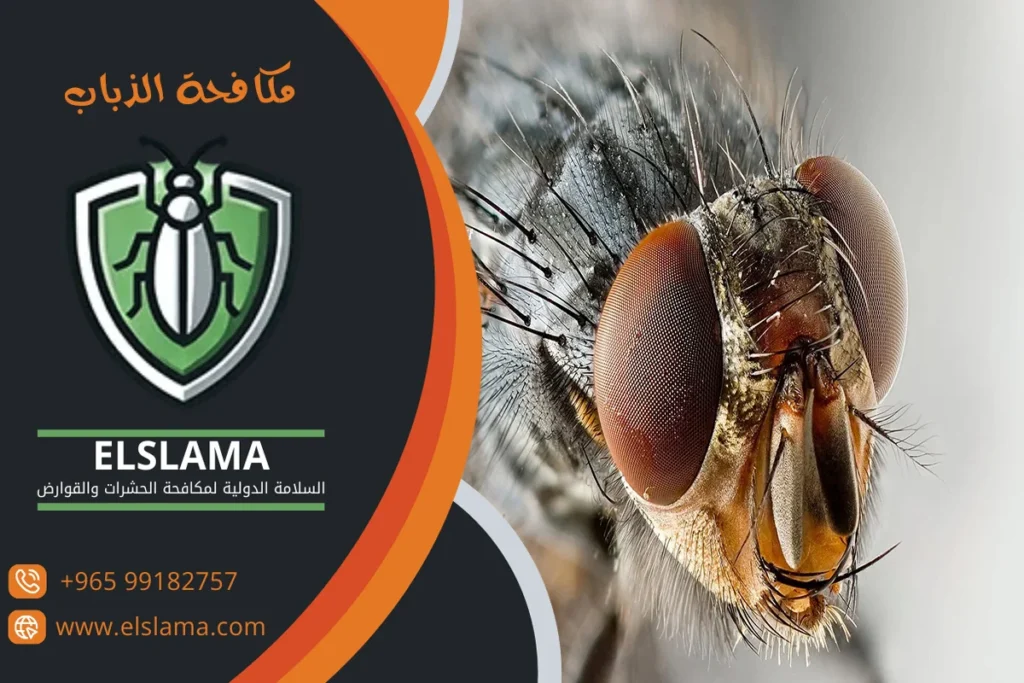 مكافحة الذباب المنزلي