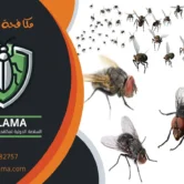 مكافحة الذباب المنزلي