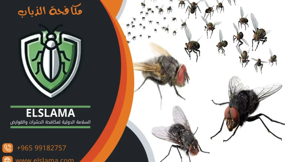 مكافحة الذباب المنزلي مكافحة الذباب المنزلي