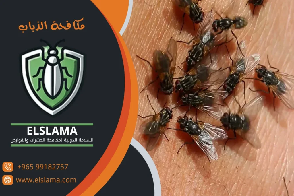 مكافحة الذباب المنزلي