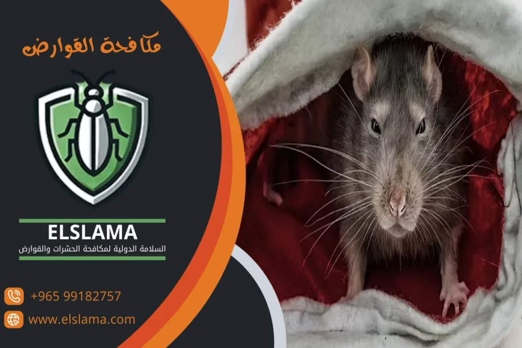شركات رش قوارض بالكويت