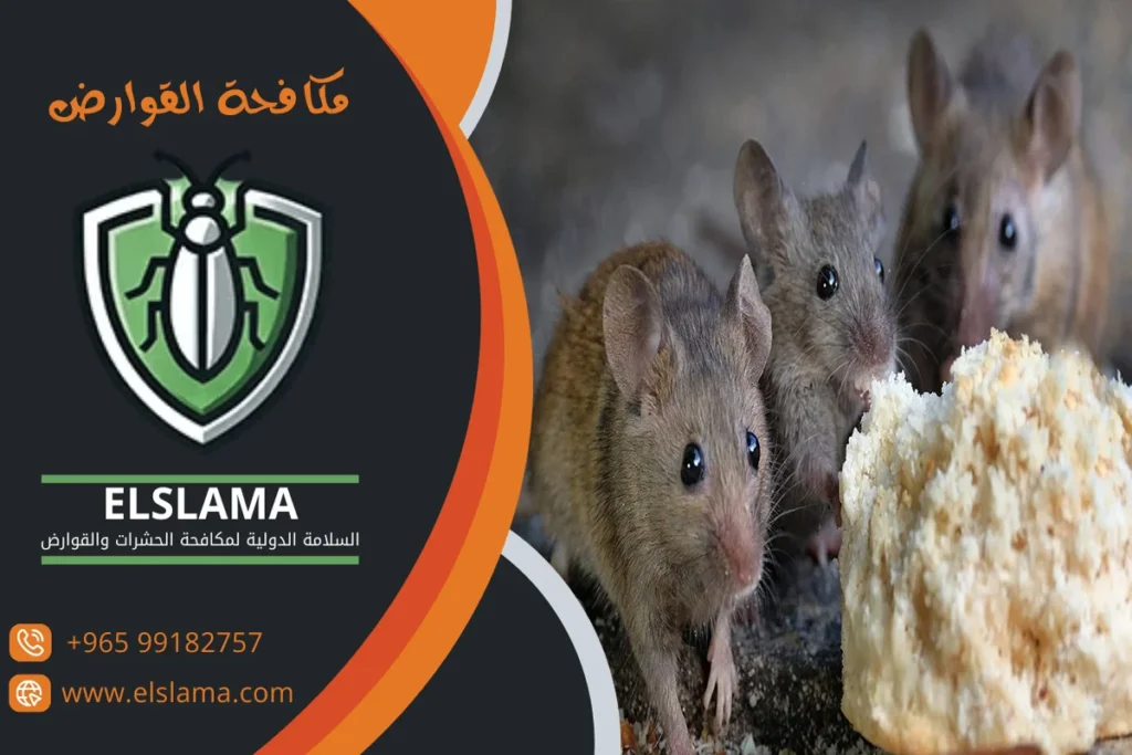 شركات رش قوارض بالكويت