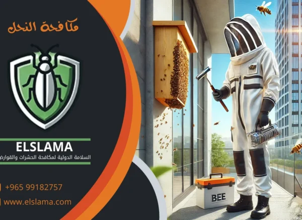 مكافحة دبور النحل بالكويت
