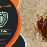 شركة إبادة البق