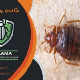 شركات مكافحة البق بالكويت