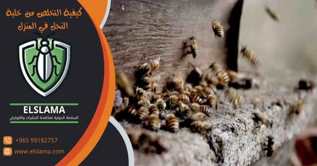 كيفية التخلص من خلية النحل في المنزل
