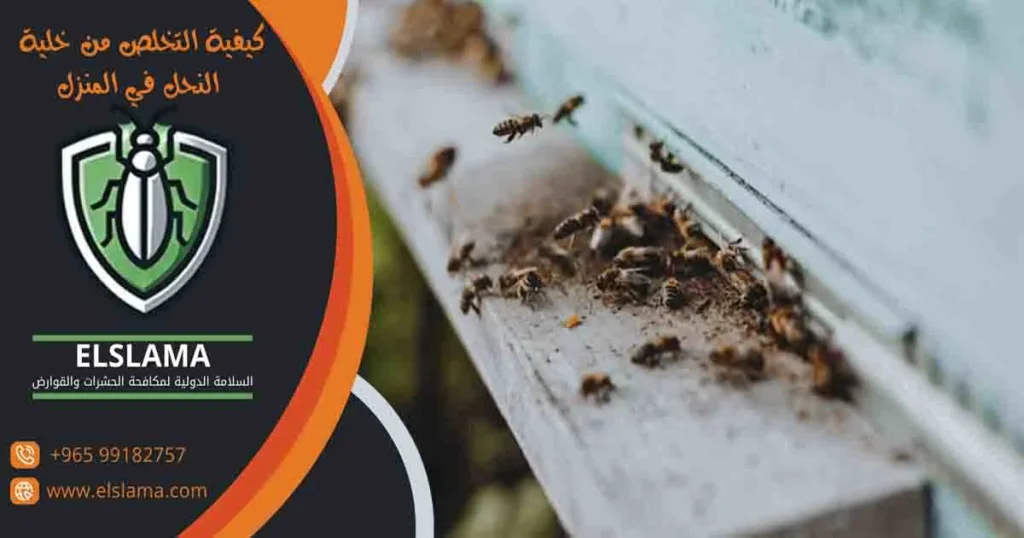 كيفية التخلص من خلية النحل في المنزل