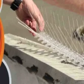 اسعار طارد الحمام (1) اسعار طارد الحمام سعر طارد الحمام سعر متر طارد الحمام