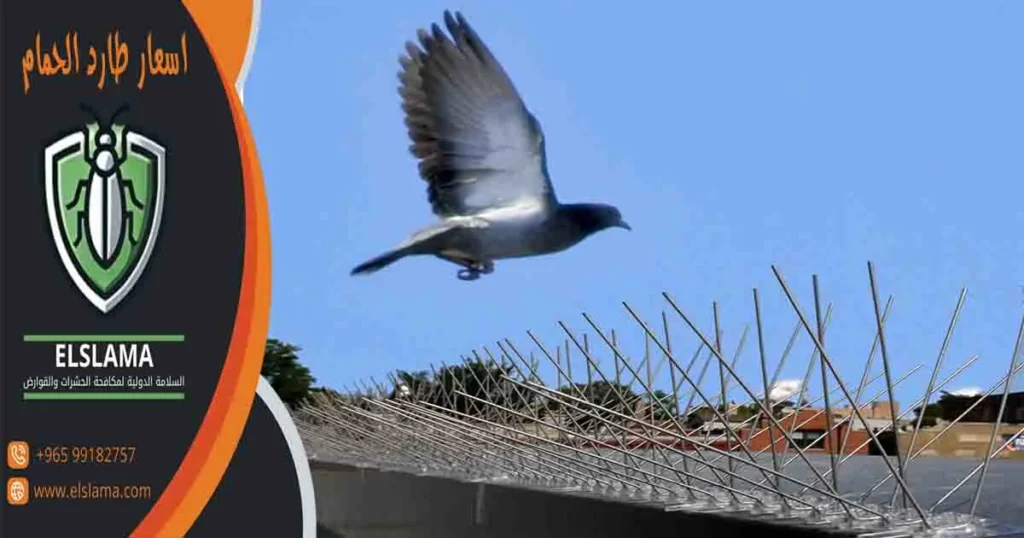 اسعار طارد الحمام
سعر طارد الحمام
سعر متر طارد الحمام