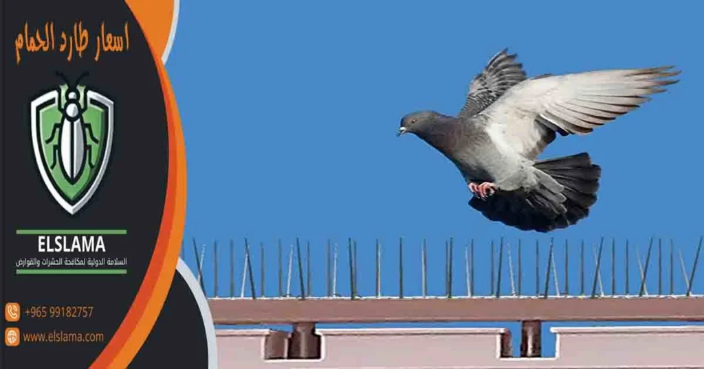 اسعار طارد الحمام
سعر طارد الحمام
سعر متر طارد الحمام