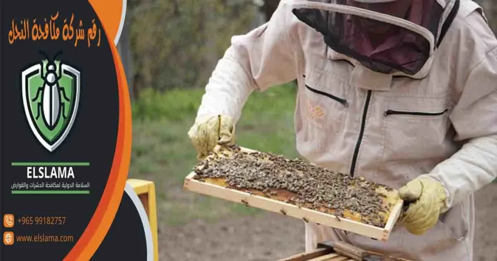رقم شركة مكافحة النحل