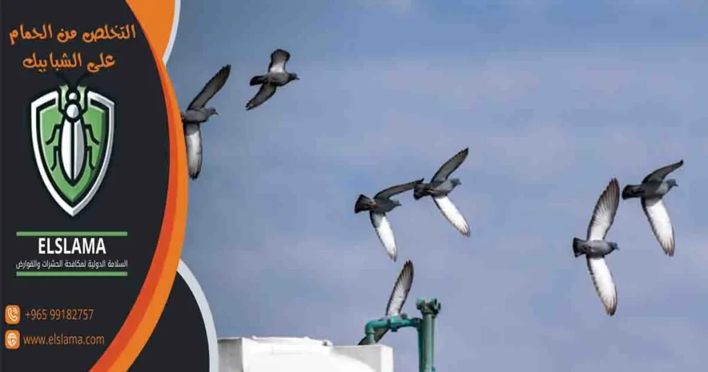 التخلص من الحمام على الشبابيك