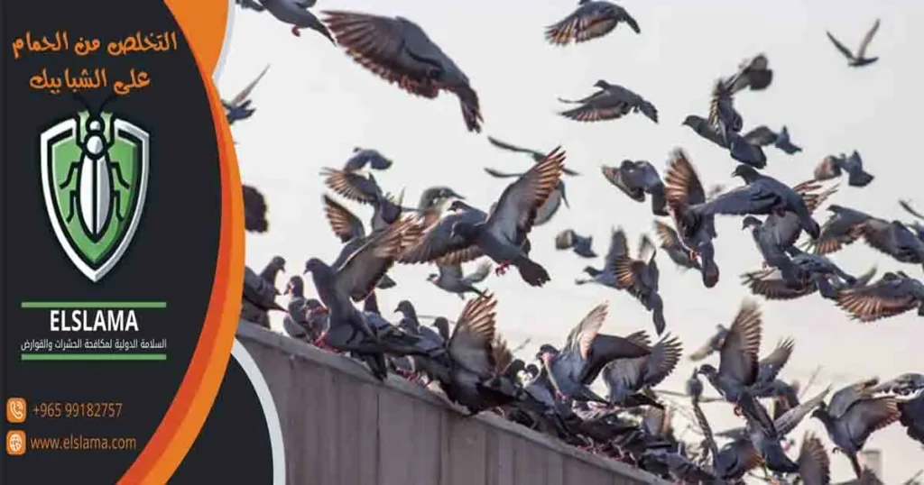 التخلص من الحمام على الشبابيك