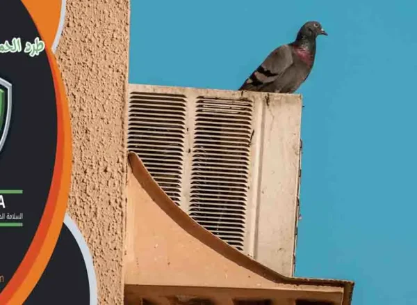 طرد الحمام من المكيفات طرد الحمام من المكيف طرد العصافير من المكيفات