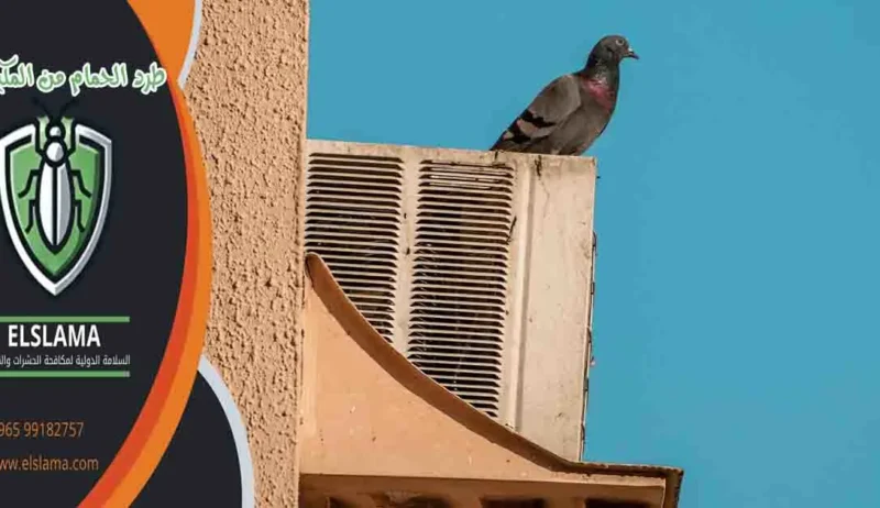 طرد الحمام من المكيفات طرد الحمام من المكيف طرد العصافير من المكيفات