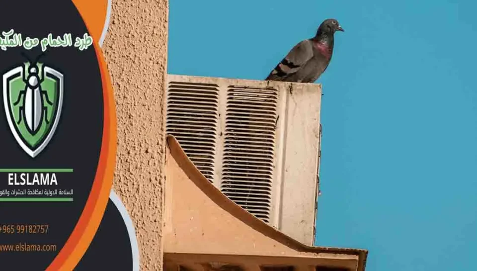 طرد الحمام من المكيفات طرد الحمام من المكيف طرد العصافير من المكيفات
