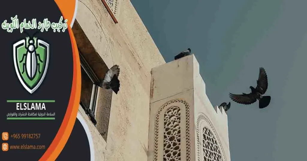 تركيب طارد الحمام الكويت
تركيب طارد الطيور