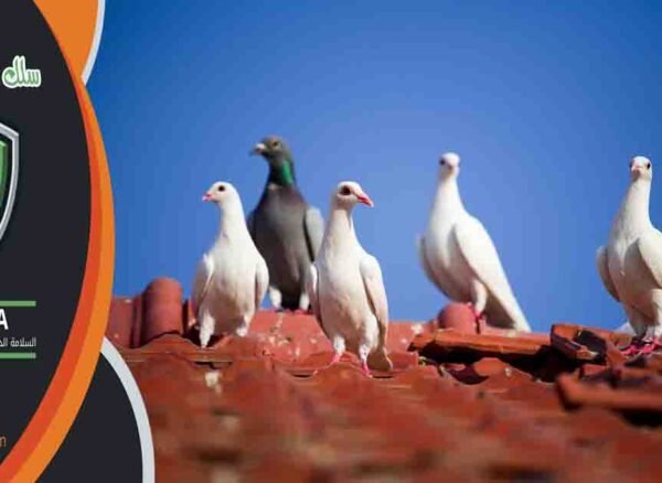 سلك طارد الحمام اسلاك لطرد الحمام
