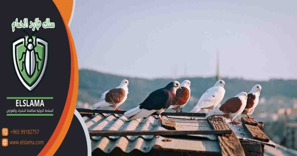 سلك طارد الحمام
اسلاك لطرد الحمام