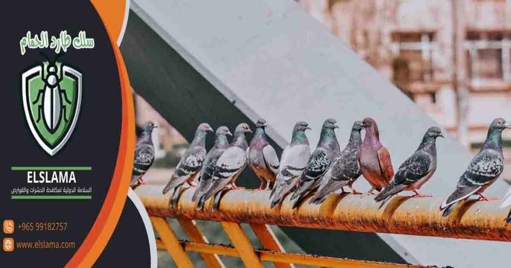 سلك طارد الحمام
اسلاك لطرد الحمام