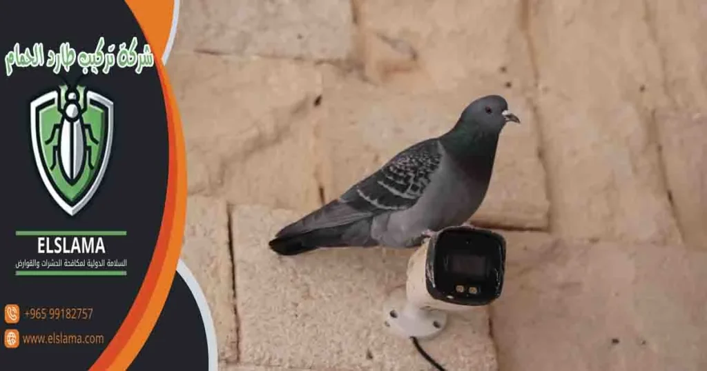 شركة تركيب طارد الحمام
شركة تركيب طارد
شركة تركيب طارد حمام