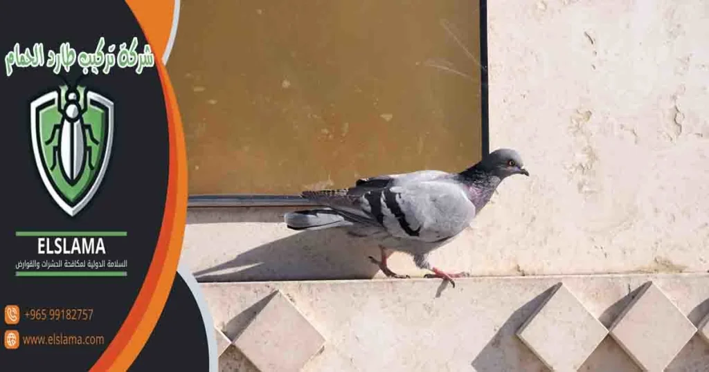 شركة تركيب طارد الحمام
شركة تركيب طارد
شركة تركيب طارد حمام