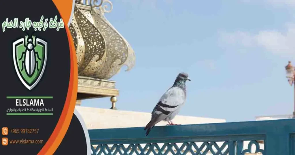 شركة تركيب طارد الحمام
شركة تركيب طارد
شركة تركيب طارد حمام